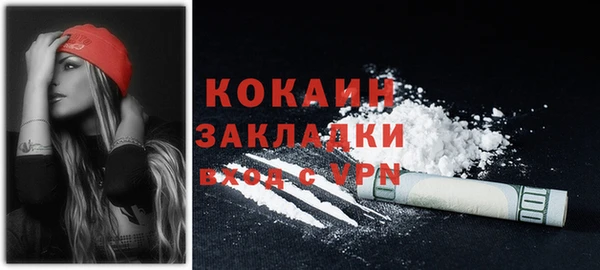 шишки Аркадак