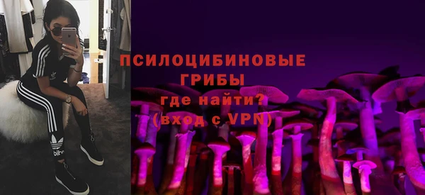 спайс Балахна