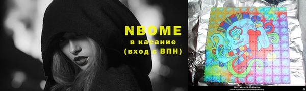 шишки Аркадак