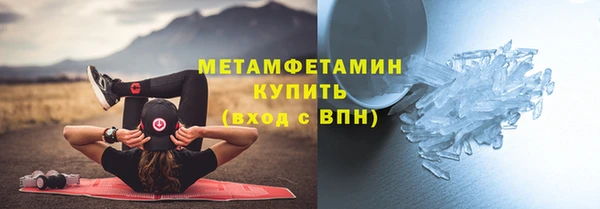 шишки Аркадак