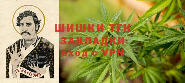 шишки Аркадак