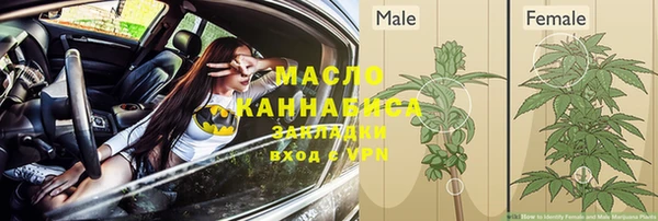 шишки Аркадак
